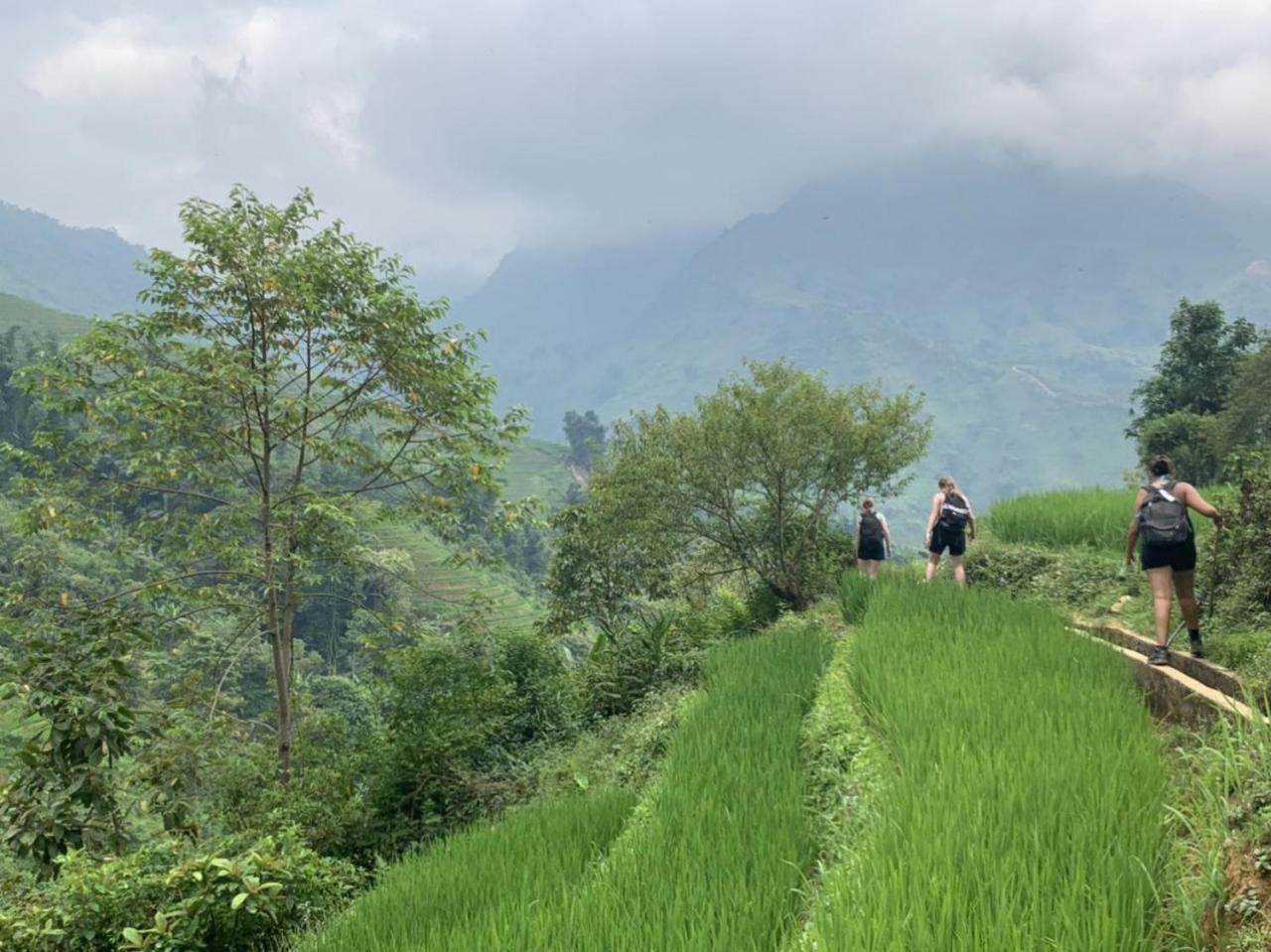 Nomadtrails