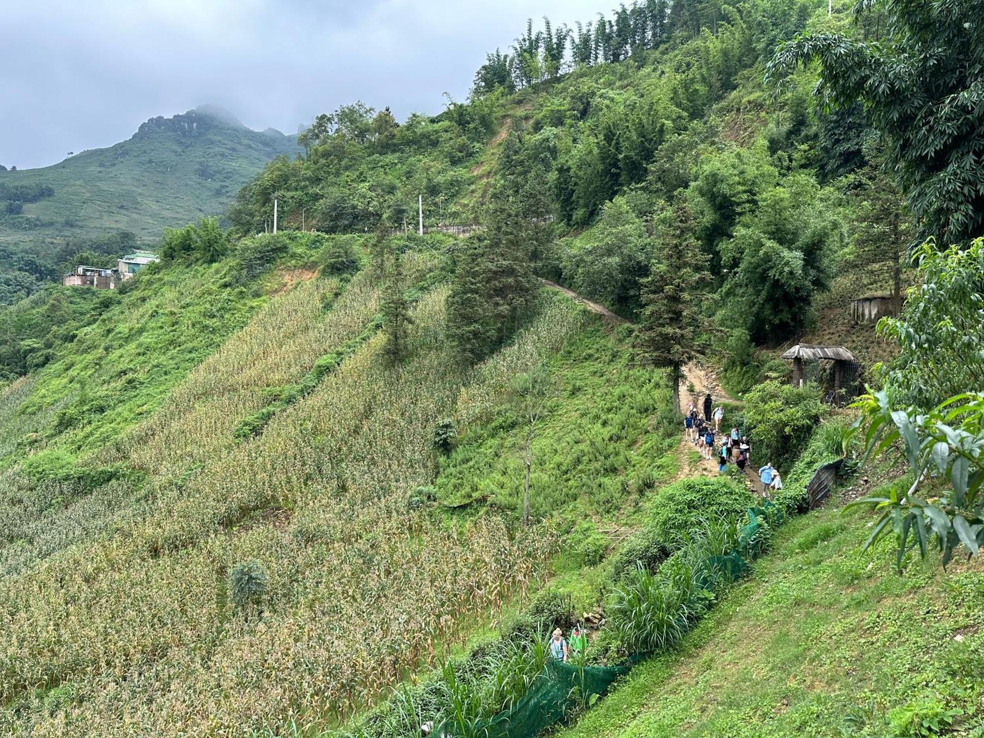 Homestay Nomadtrails Sa Pa