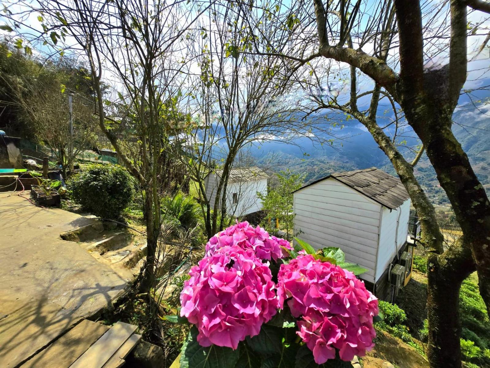 Homestay Nomadtrails Sa Pa